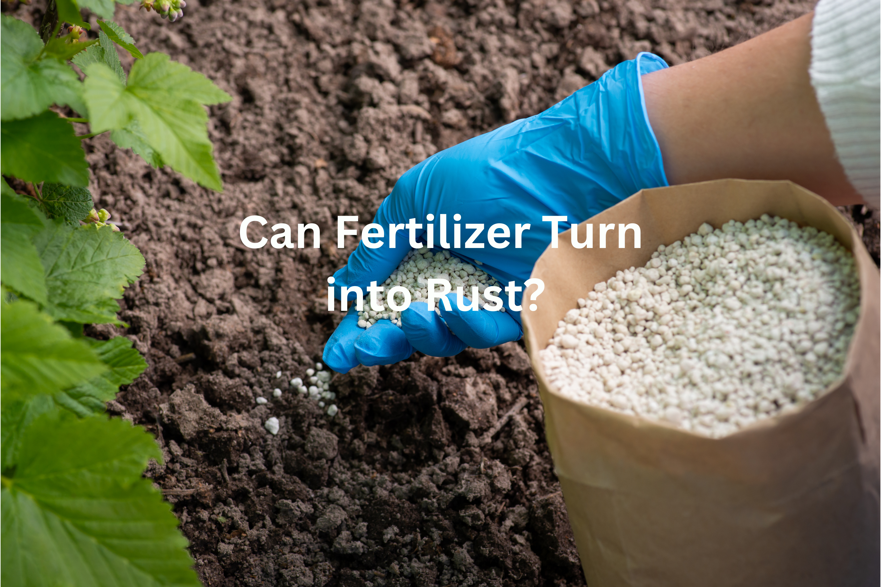 Can Fertilizer Turn into Rust? Unveiling the Myths and Facts