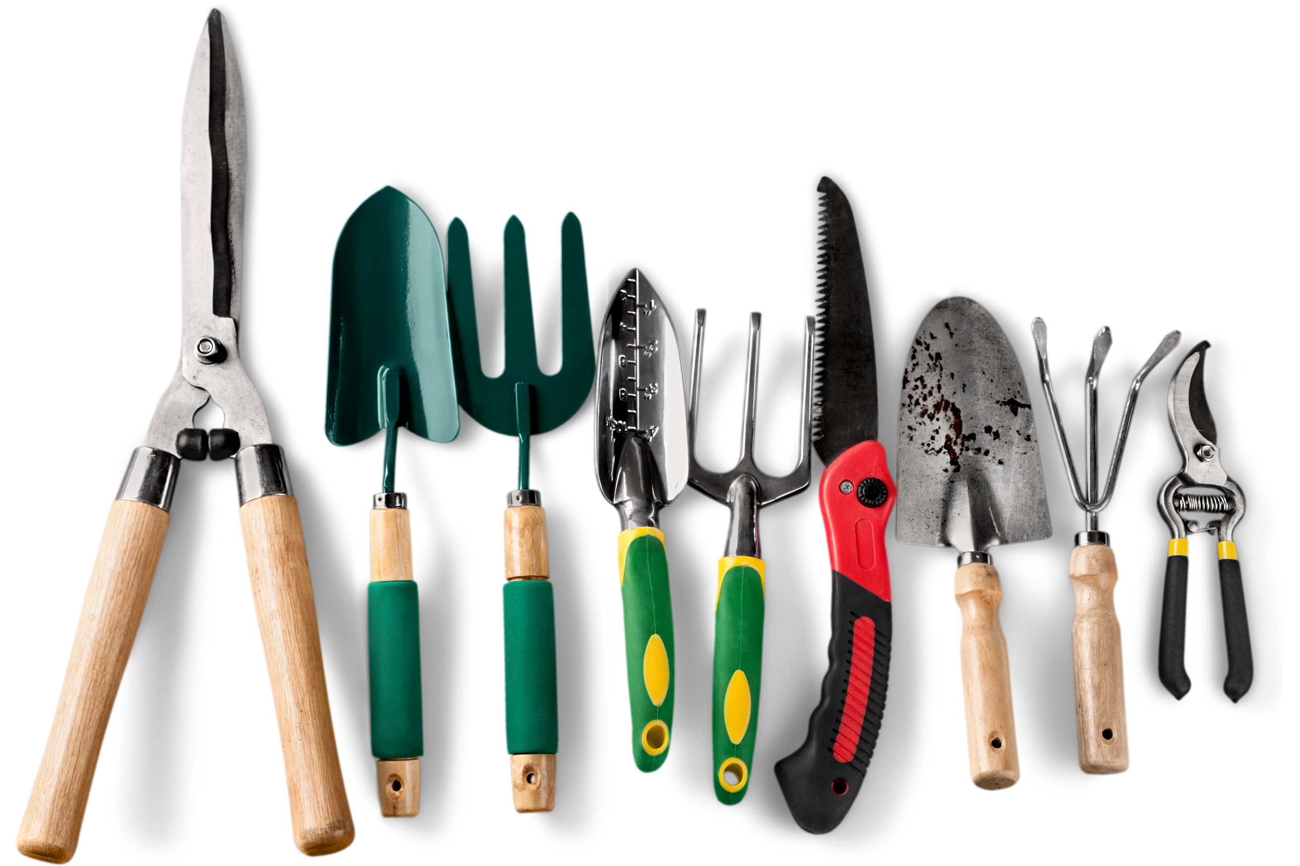 Essential Gardening Tools You Should Always Have