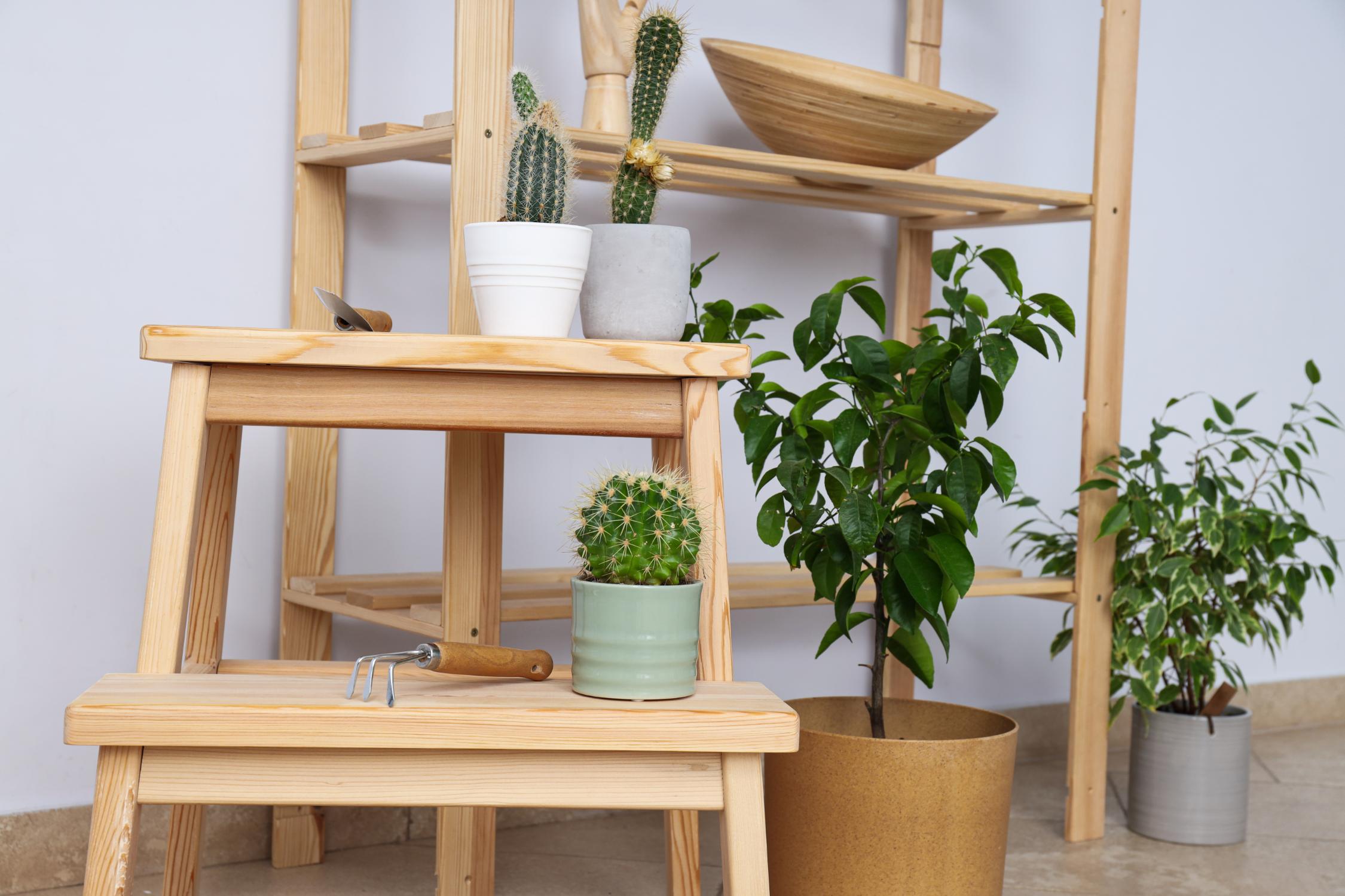 15 Best Indoor Plant Stands to Elevate Your Greenery